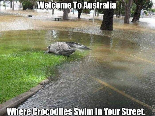 14_Reasons not going to Australia