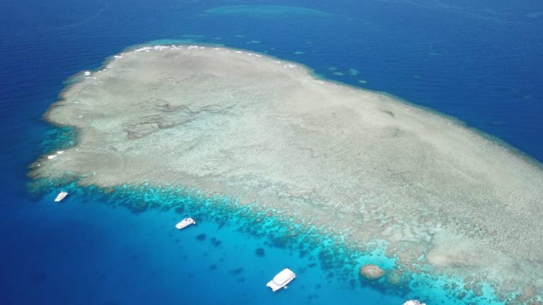 The Great Barrier Reef in Australia: A global marine treasure