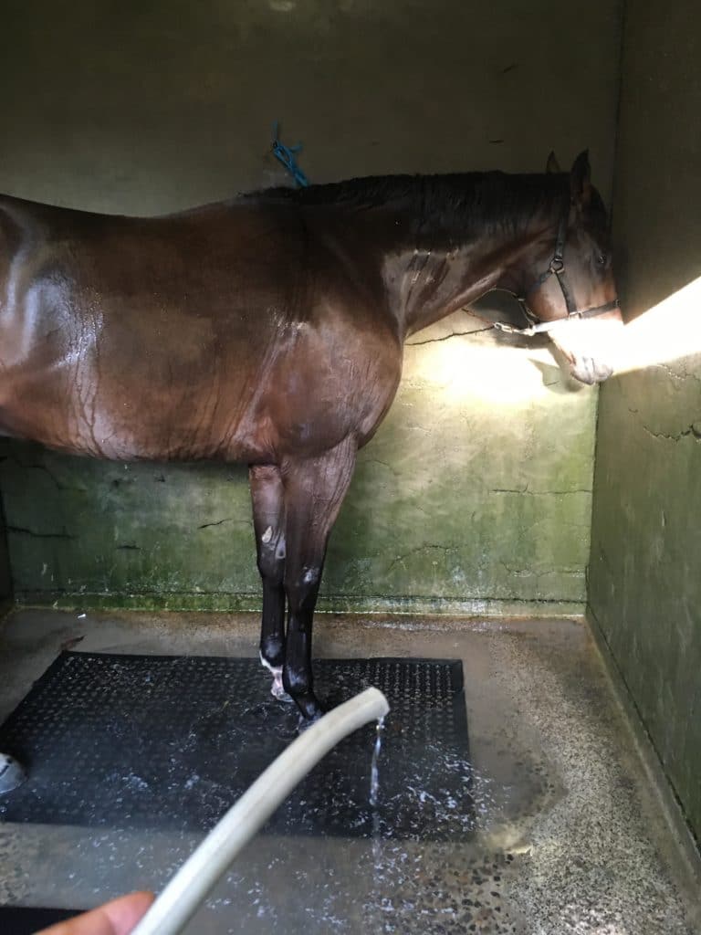 horse stables in Australia