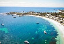 rottnest island