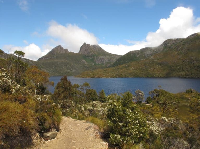 Cradle Mountain – Lake St. Clair National Park in Tasmania: Complete Guide