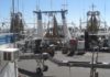 Working on a prawn vessel in Australia – Job experience Prawn-vessel job experience