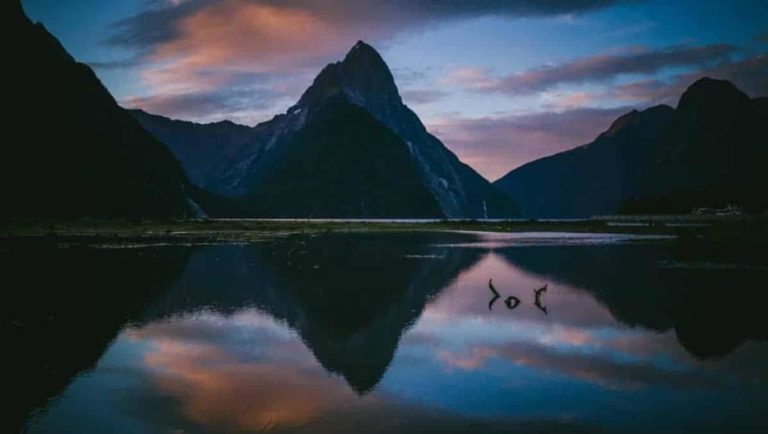 Traveling with children in New Zealand