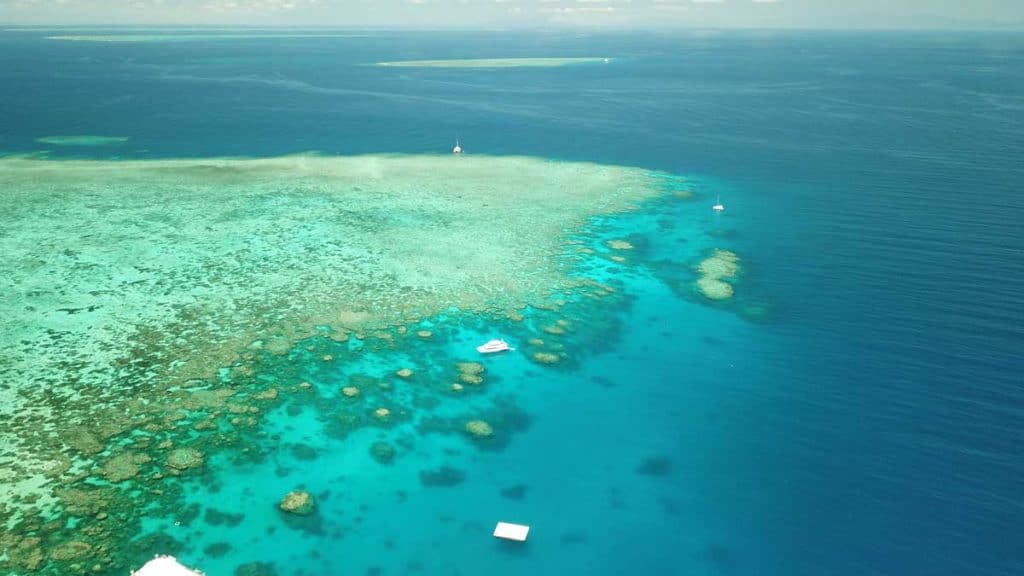 diving Australia great barrier reef