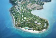 hamilton island bird perspective