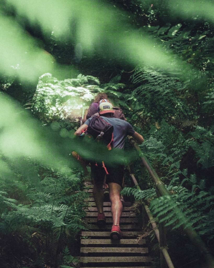 blue mountains national park hike