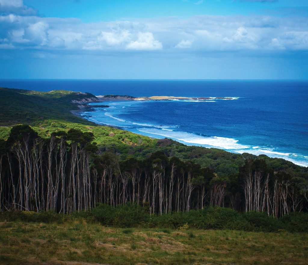 King Island Tasmania