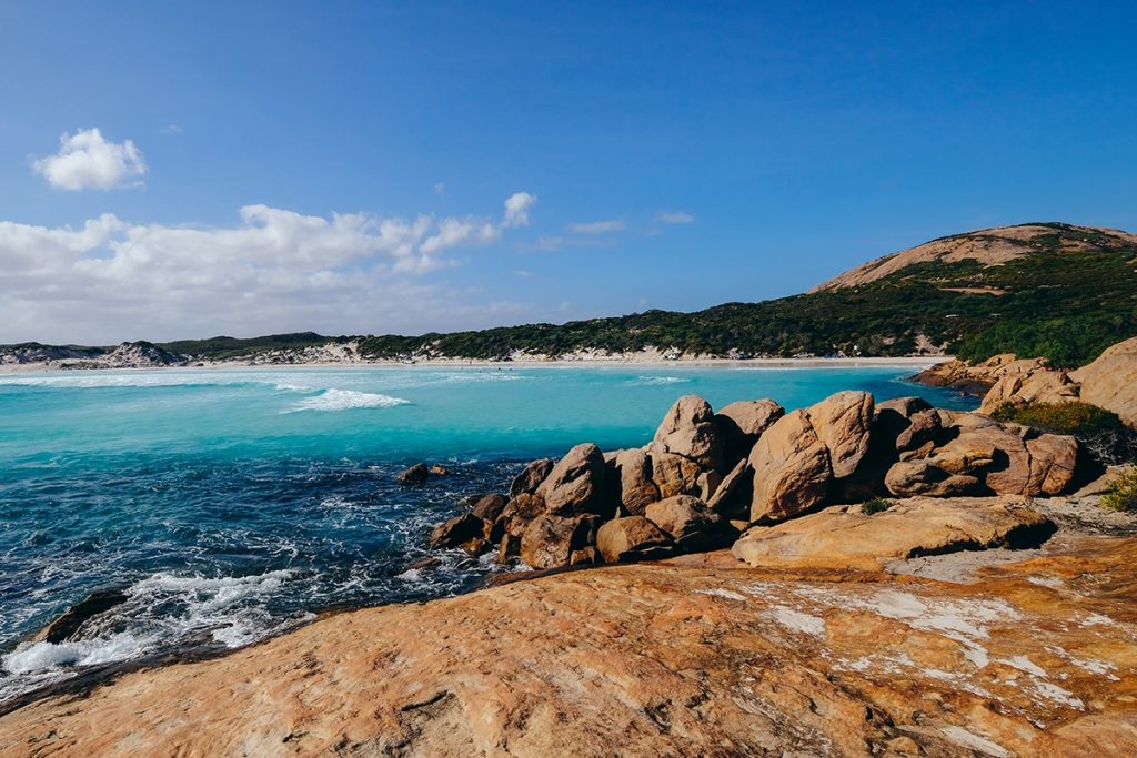 Esperance and Kangaroos in Australia