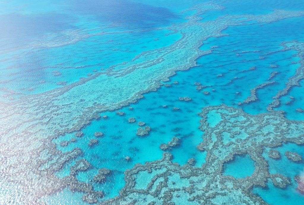 Discover the Great Barrier Reef in Australia