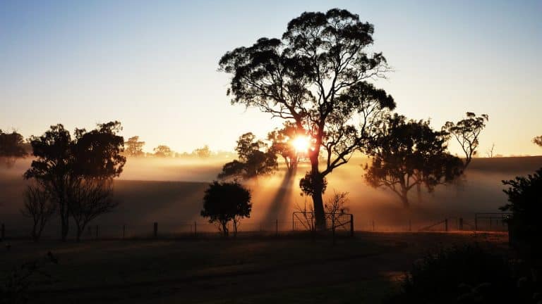 Working in a Roadhouse – An Outback experience