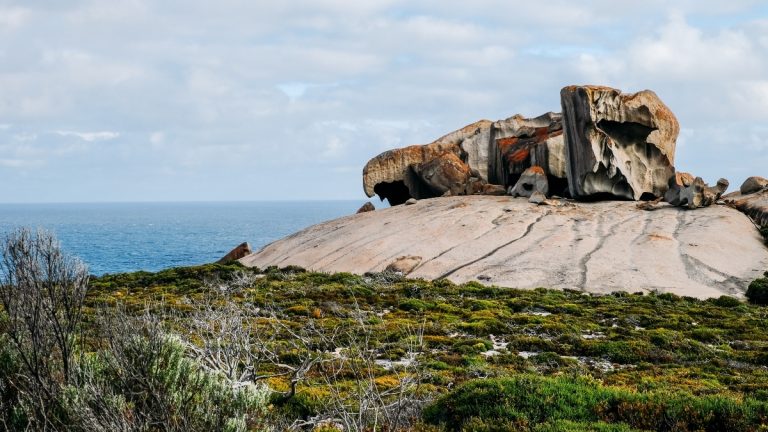 Visit Kangaroo Island: Best things to do & see