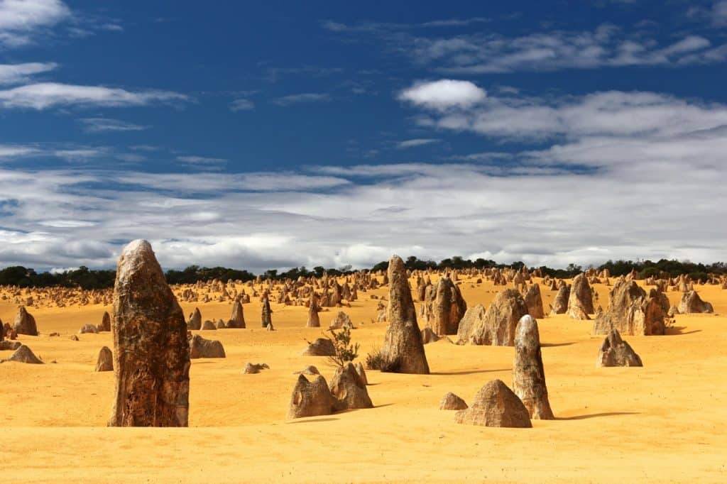 Orange pinnacles in the Nambung National Park with a blue sky