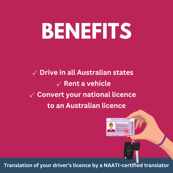 Drivers Licence Translation (NAATI Certified) - Image 3