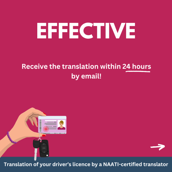 Drivers Licence Translation (NAATI Certified) - Image 4